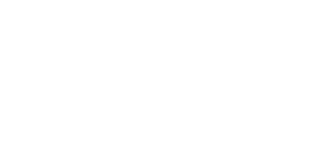 Carlos Daniel Alvarado Director, Alvarado Original Films, Cine Venezolano